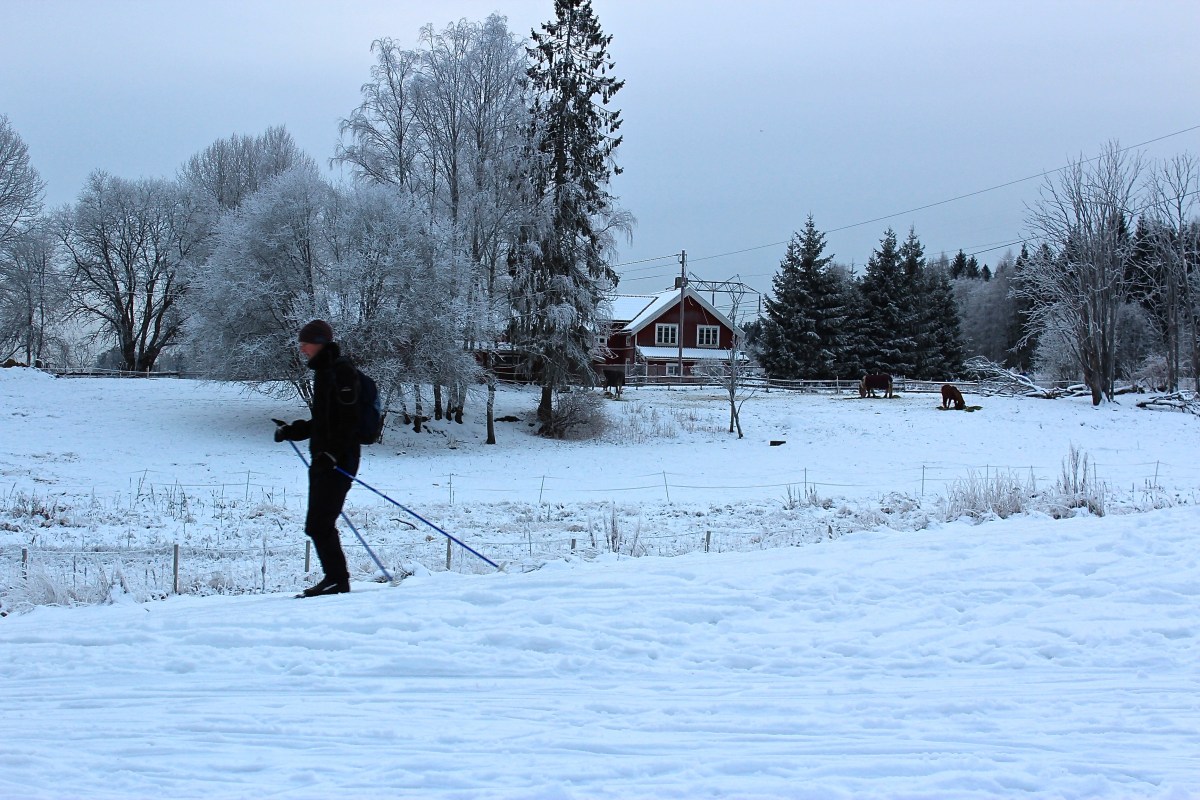 Crosscountry Skiing for Dummies A Newbie in Norway