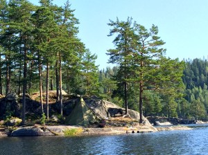 DNT rents this sami-styled lavuu (tent) that comes with a pit toilet.  My advice:  go early in summer before the stench builds.