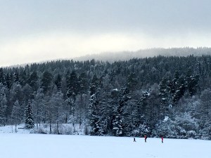 A few skiers cross the frozen surface of Sognsvann Lake.