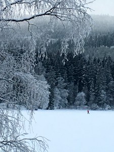 Normally, the lake would be covered with folks skating, skiing, picnicking, and playing on the ice.