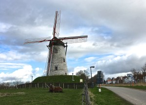 Just the brown cap of the Schellemolen (Schelle Windmill, 1867) turns to face the wind. 