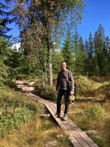 Wetland boardwalk, Ullevålseter, Norway