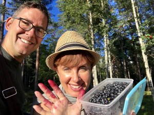 Blueberry picking, Norway